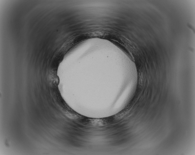 X0000096470091200802211201