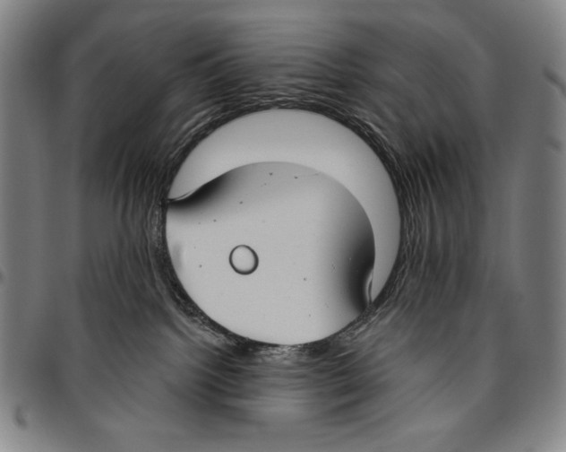 X0000096470092200802211201