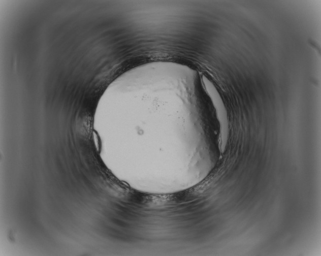 X0000096470093200802211201