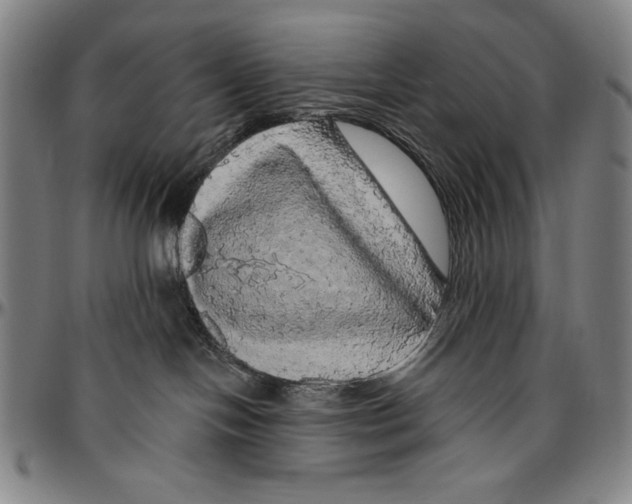 X0000096470094200802211201