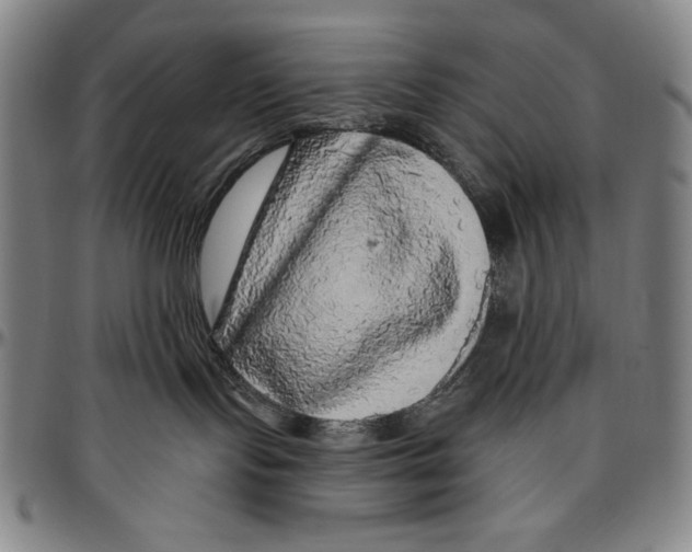 X0000096470095200802211201