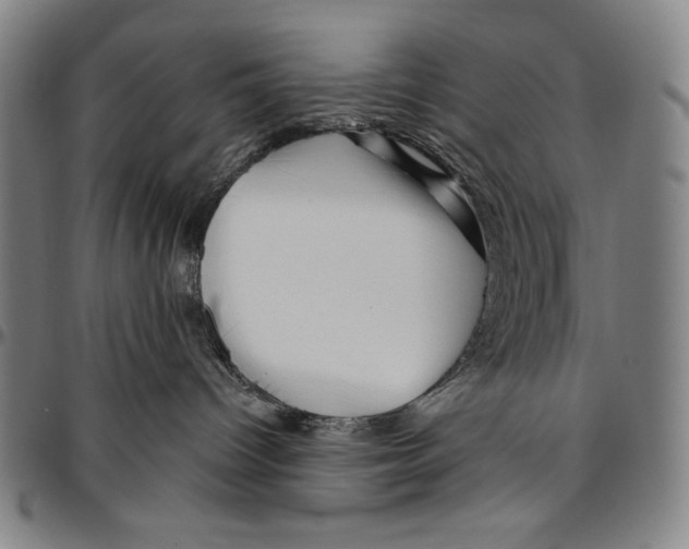 X0000096470096200802211201
