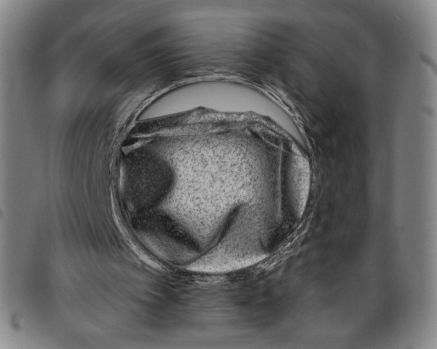 X0000096470097200802211200