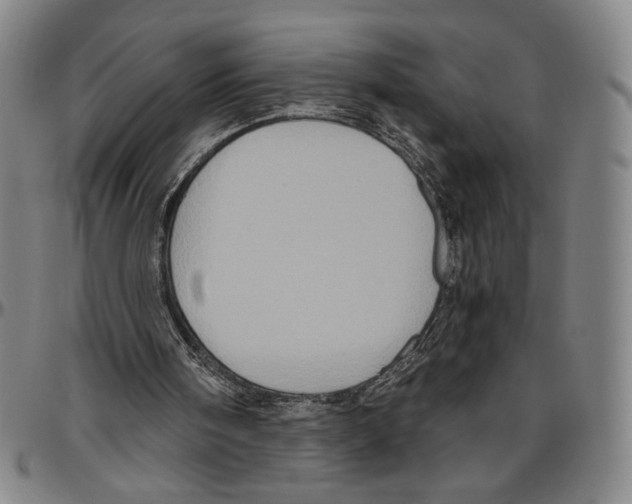 X0000096470098200802211200