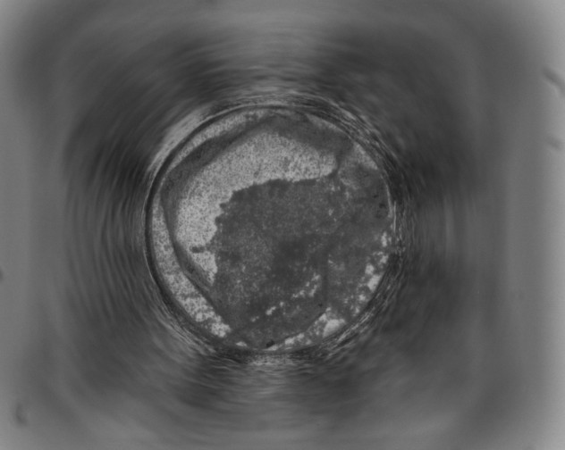 X0000096470099200802211200