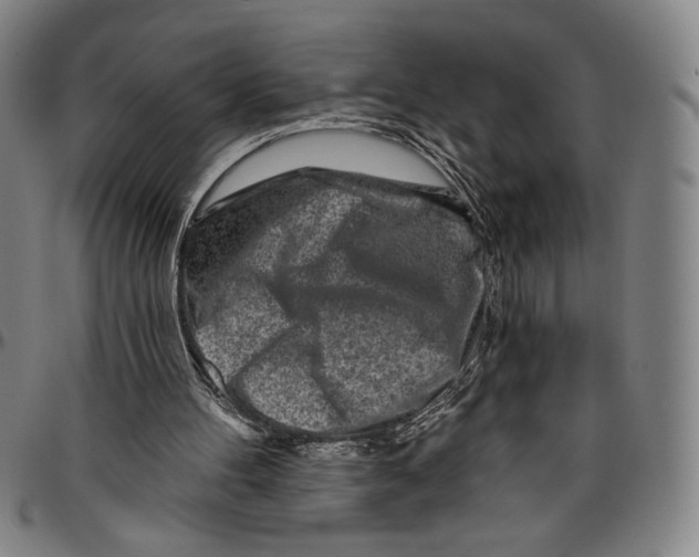 X0000096470100200802211200