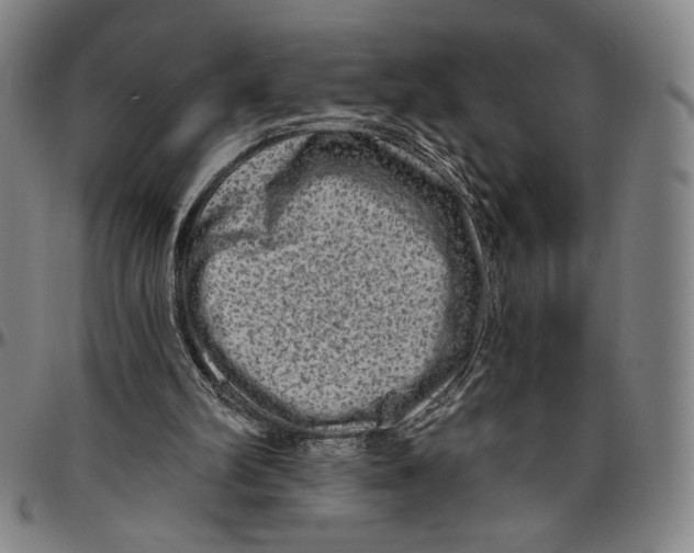 X0000096470102200802211200