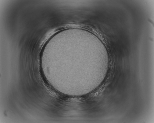 X0000096470103200802211200