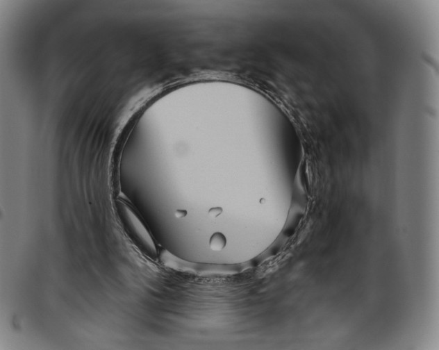 X0000096470104200802211200