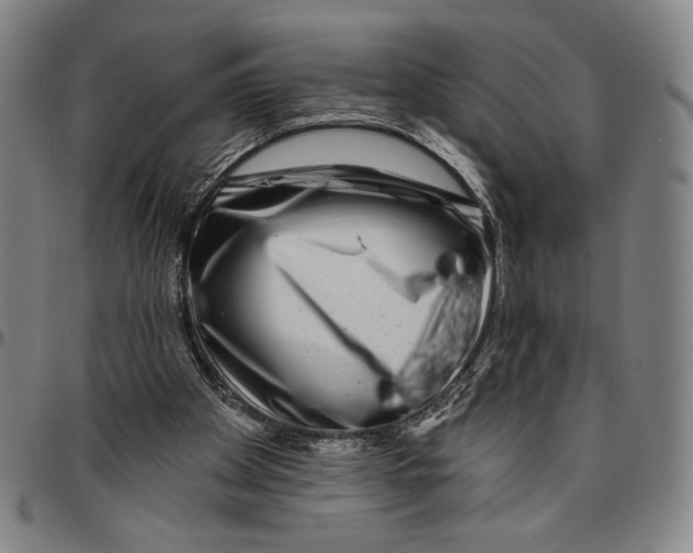 X0000096470105200802211200