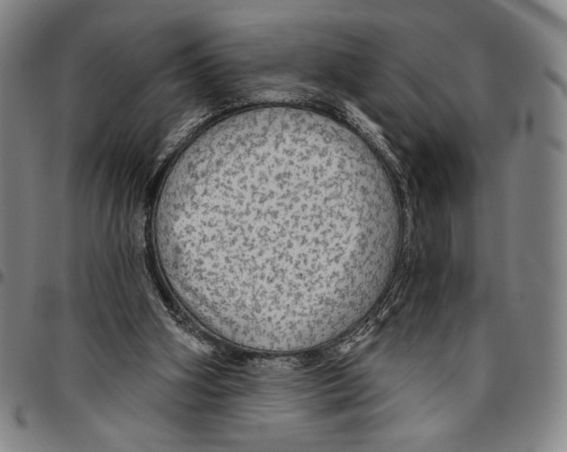 X0000096470106200802211200