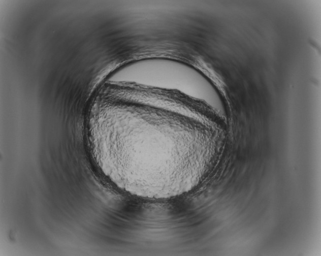 X0000096470107200802211200
