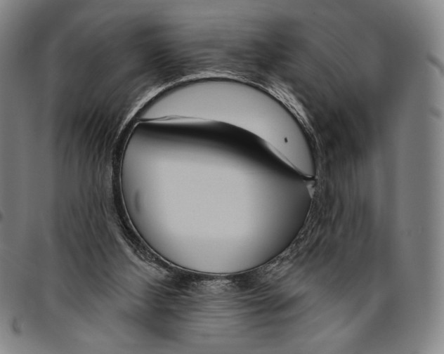 X0000096470108200802211200