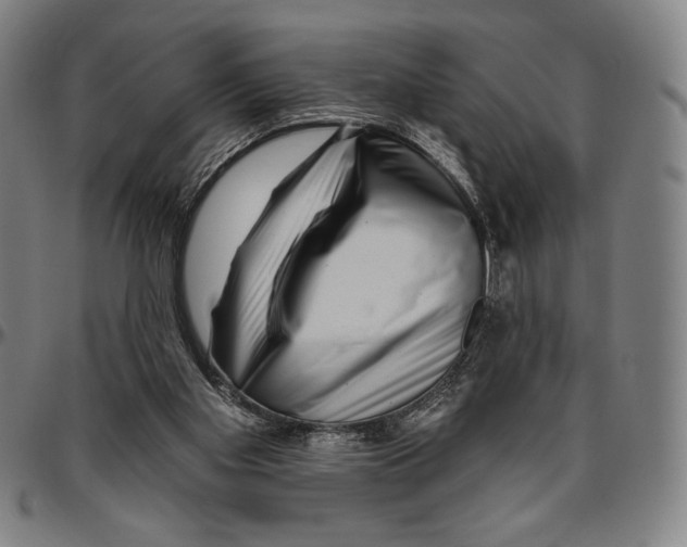 X0000096470109200802211200