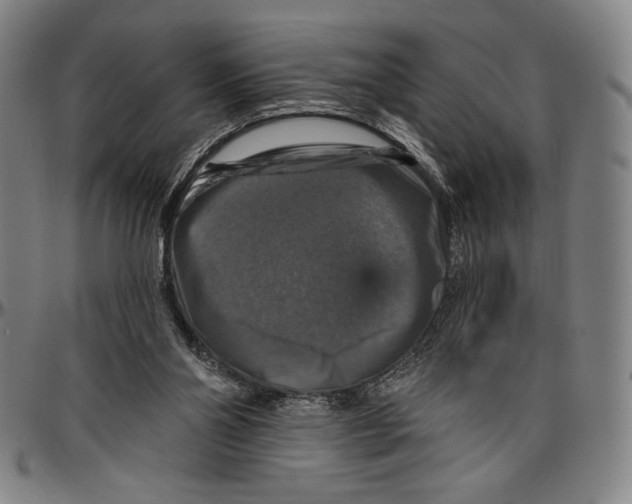 X0000096470110200802211200