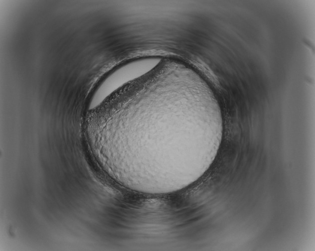 X0000096470111200802211200
