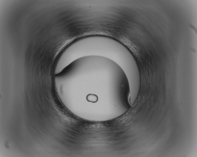 X0000096470112200802211200