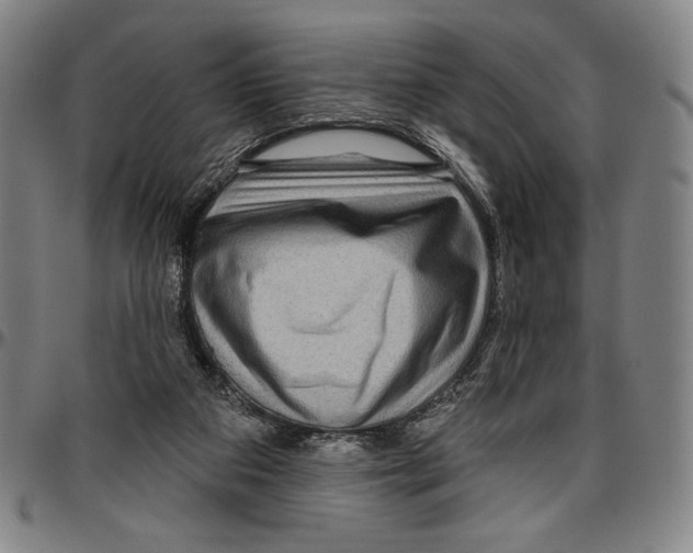 X0000096470113200802211200