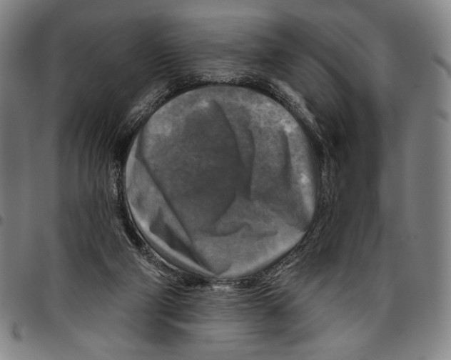 X0000096470114200802211200