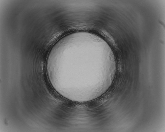 X0000096470115200802211200