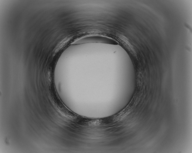 X0000096470116200802211200
