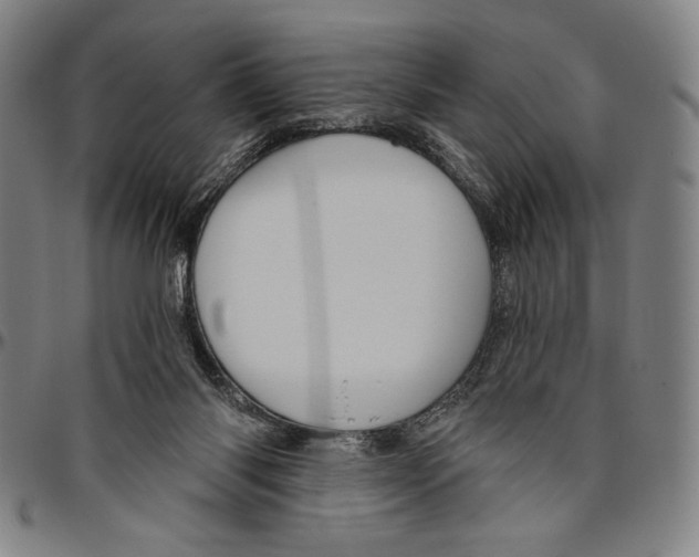 X0000096470118200802211200