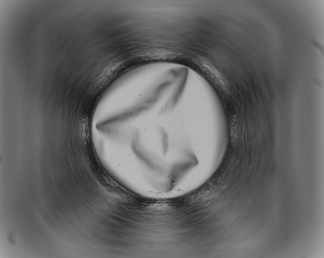 X0000096470119200802211200