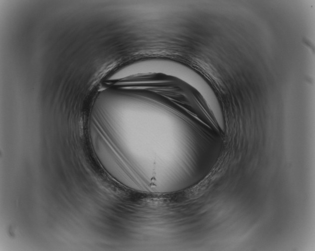 X0000096470120200802211200