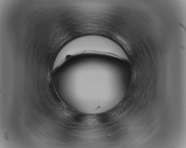 X0000096470121200802211200