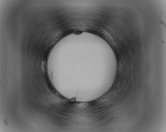 X0000096470122200802211200