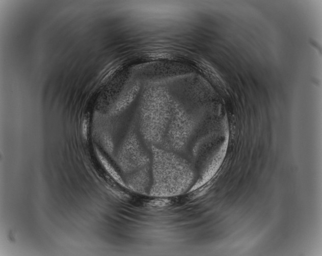 X0000096470124200802211200