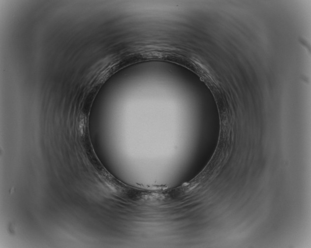 X0000096470125200802211200