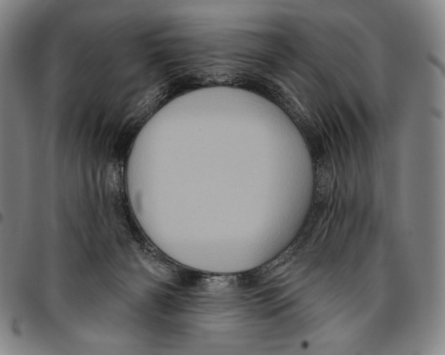 X0000096470126200802211200