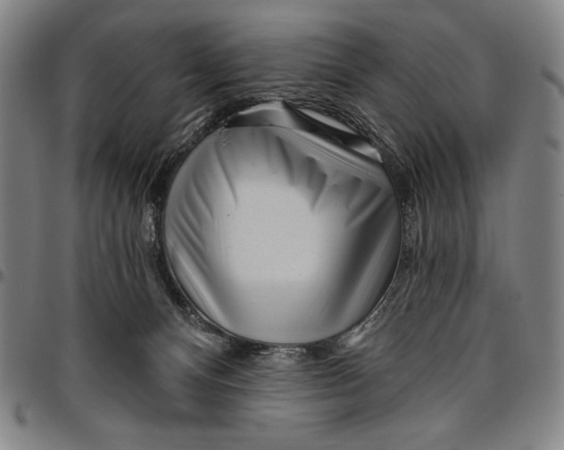 X0000096470128200802211200