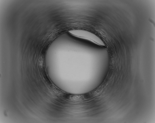 X0000096470129200802211200