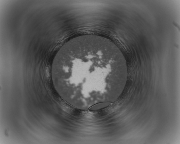 X0000096470131200802211200