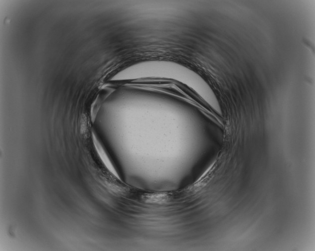 X0000096470132200802211200