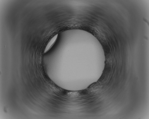 X0000096470133200802211200