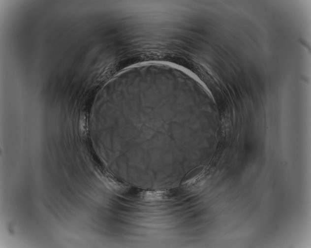 X0000096470134200802211200