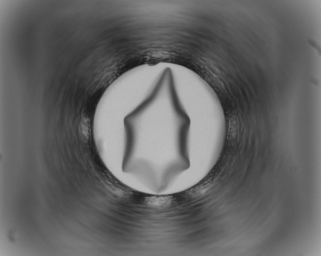 X0000096470135200802211200