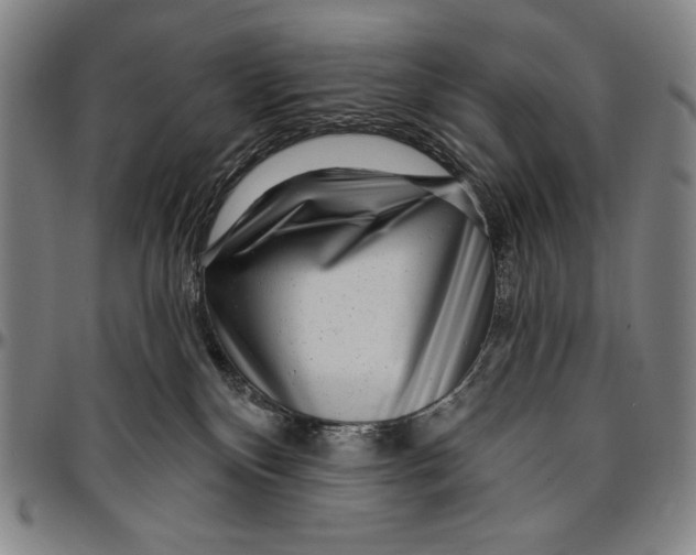 X0000096470136200802211200