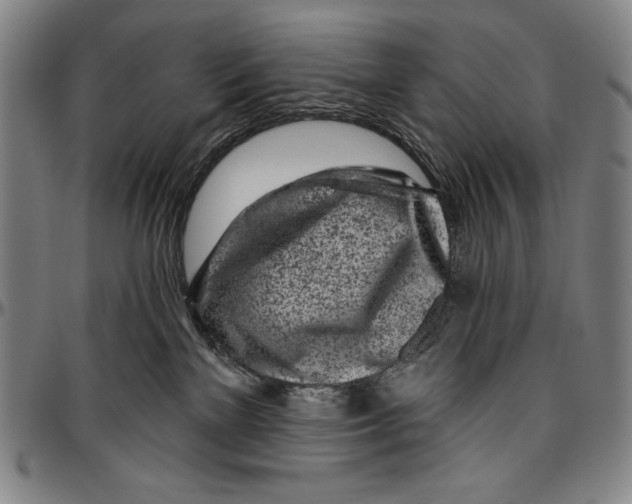 X0000096470137200802211200