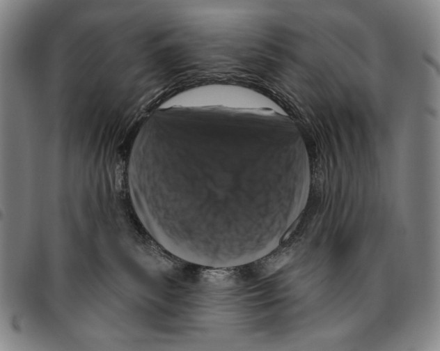 X0000096470139200802211159
