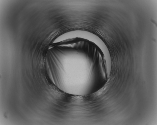 X0000096470140200802211159