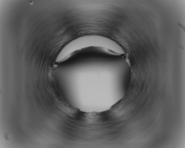 X0000096470141200802211159