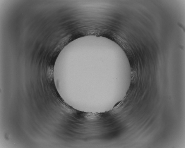 X0000096470142200802211159