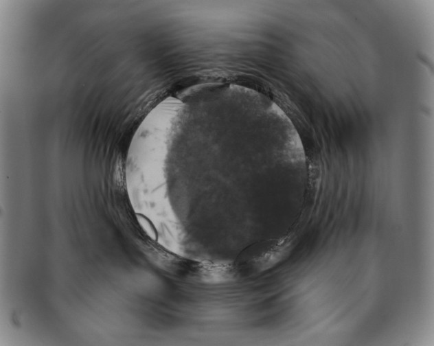 X0000096470143200802211159