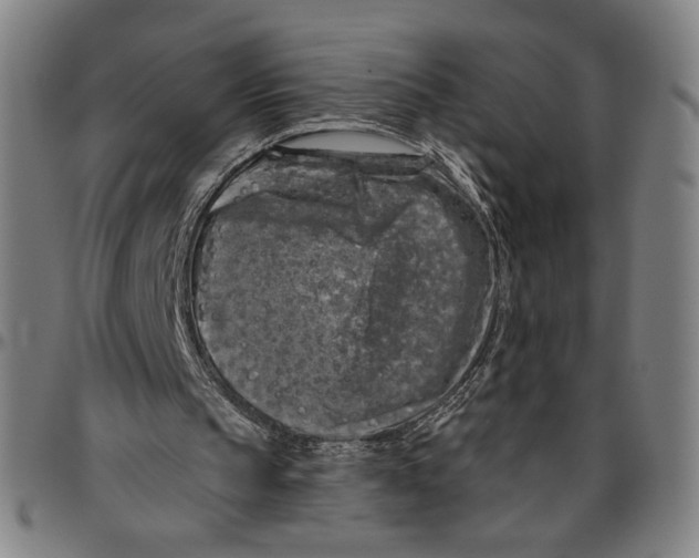 X0000096470145200802211159