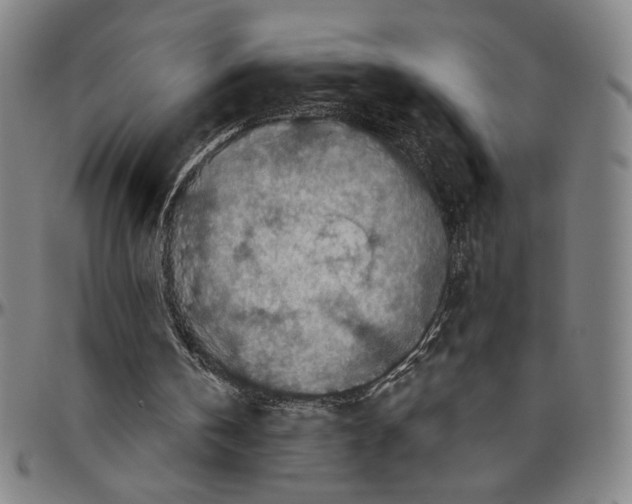 X0000096470146200802211159