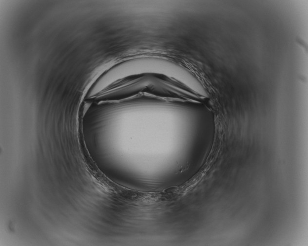 X0000096470148200802211159